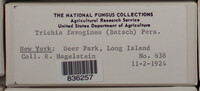 Image Associated With the Occurence